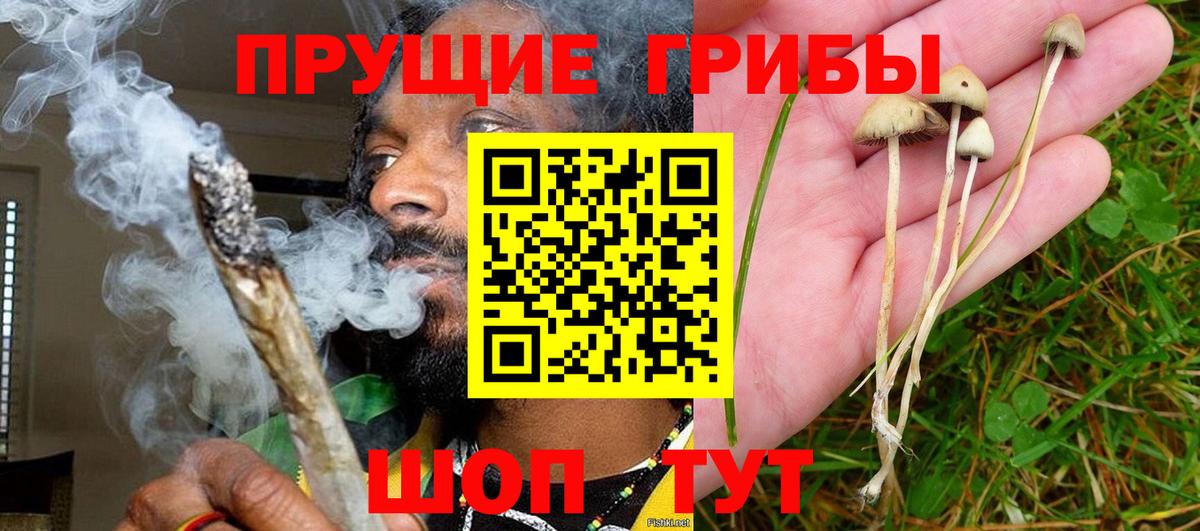 Псилоцибиновые грибы MAGIC MUSHROOMS Ессентуки