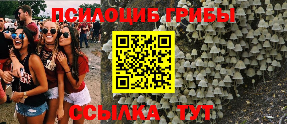 Галлюциногенные грибы Magic Shrooms  Вход с VPN  Ессентуки 